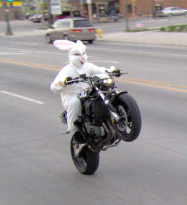 bunny-bike.jpg