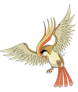 Pidgeot.jpg