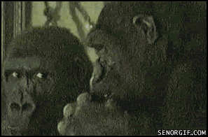 lopol.gif
