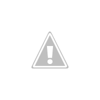 73437_o.gif