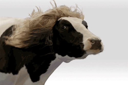 tumblr_n7dlmfSHxa1r41unfo1_500.gif