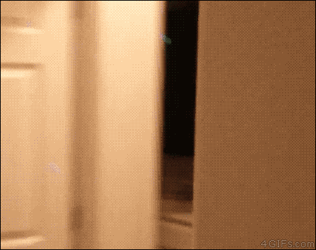 tumblr_ndi6s8xESE1r41unfo1_500.gif