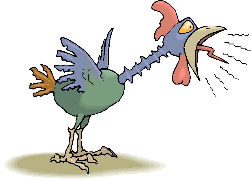 galo1.jpg