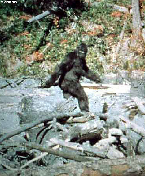 bigfoot.jpg