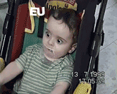 FDS.gif