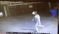 Burro.gif