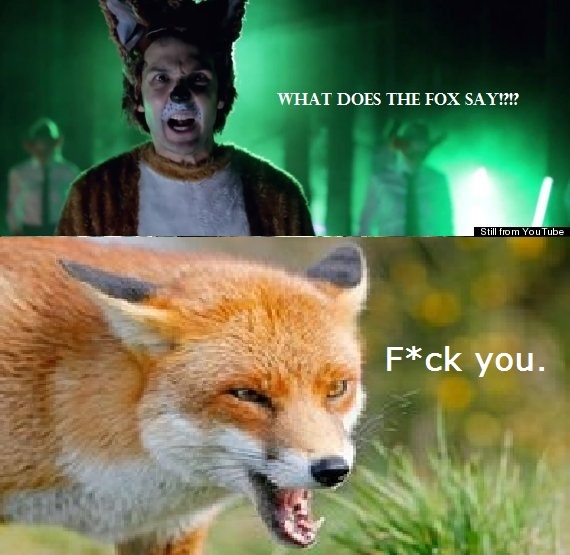 what_does_the_fox_say__by_maylinshikora-d6mbild.jpg