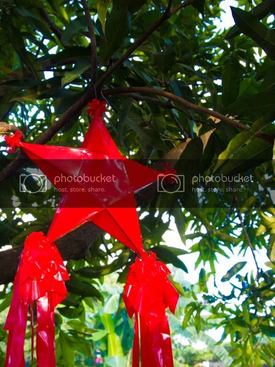 red-parol_zps0ccaa311.jpg