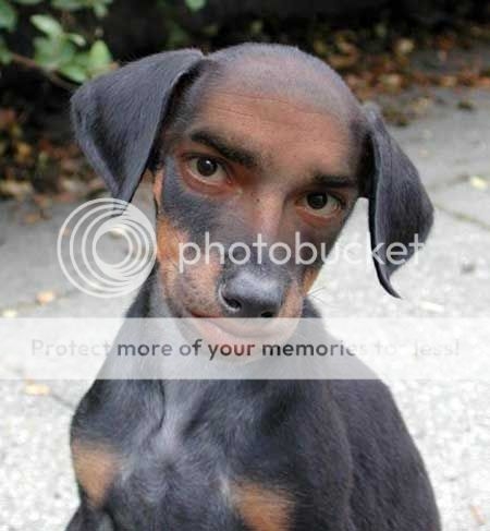 human-looking-dog.jpg