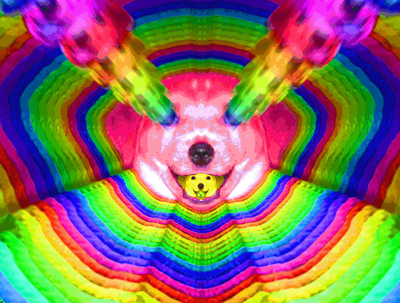 15738423a6c14c3a0220b04b5afb9d9bba0c1516.gif
