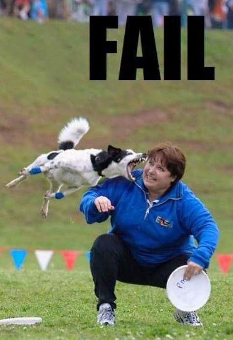 Fail_Dog.jpg