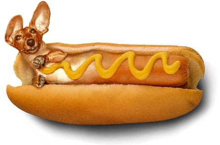 hotdog.jpg