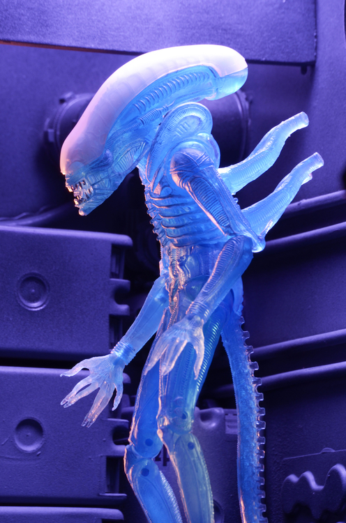 51634-Aliens-S11-blue-alien5.jpg