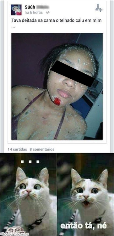 telhado.jpg