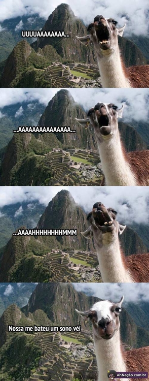 aaaaaa.jpg
