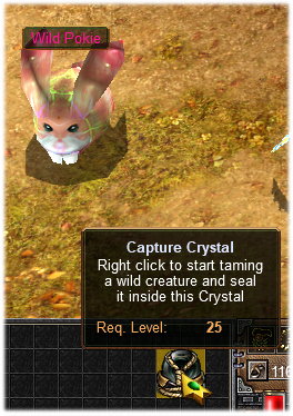 use_capture_crystal.png