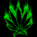 WeedFreak!