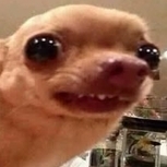 aod
