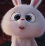 casper