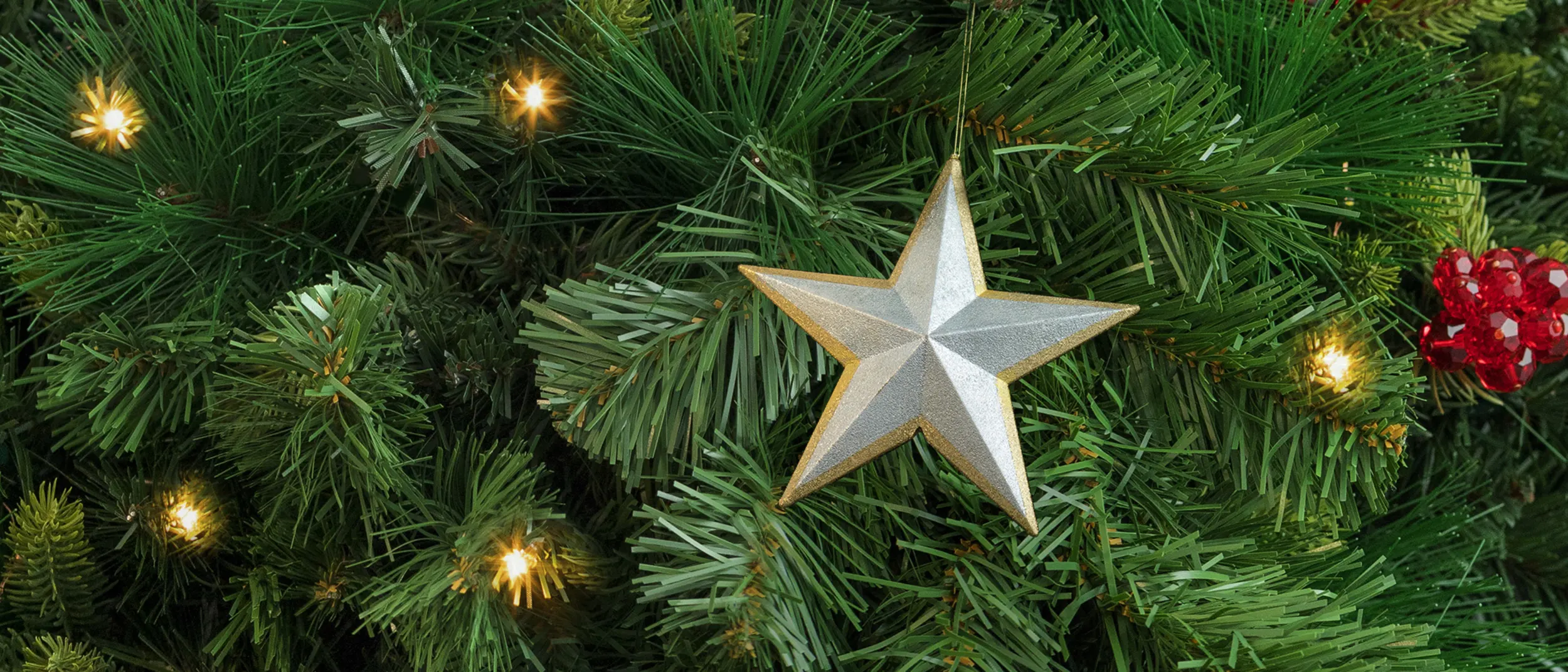 0_xmas.png?_cb=1545609056